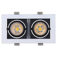 2019 Hot Sale Factory Price 2Heads 60W Led Spotlights Led Ceiling Light For Indoor Decoration